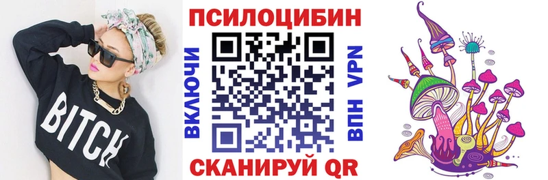 Купить закладки Омск Псилоцибиновые грибы прущие грибы